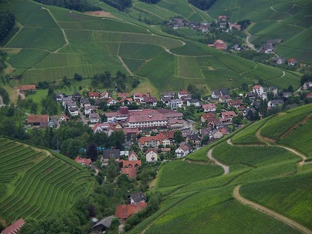 Gasthaus Hohberg Hotel Durbach Bagian luar foto