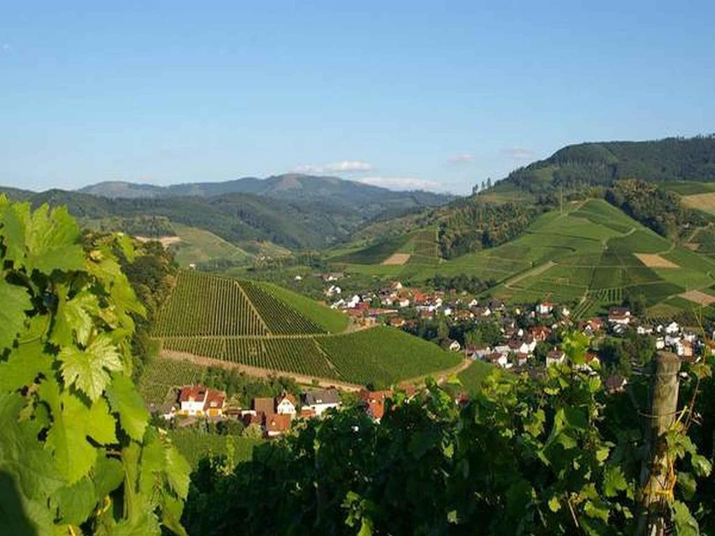 Gasthaus Hohberg Durbach Bagian luar foto
